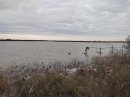 Etang de la Marette